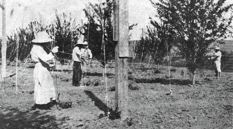 4 people laboring in the field