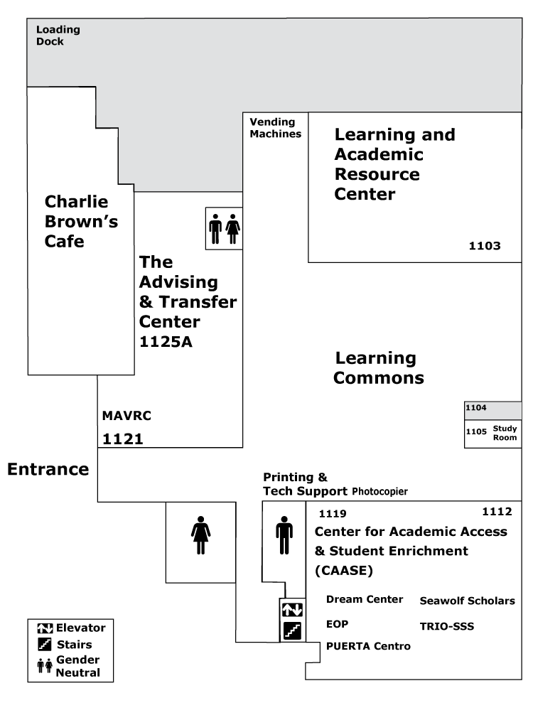 First floor of the library