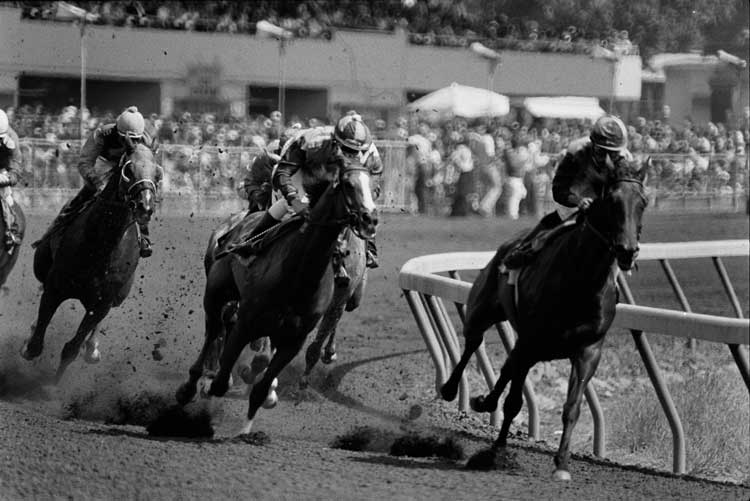 Horse race at the Sonoma County Fairgrounds.