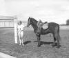 Woman with a horse on Sonoma State Campus